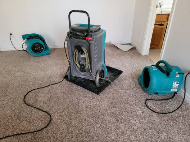 Best Water damage restoration specialists  in Cobb Island, MD