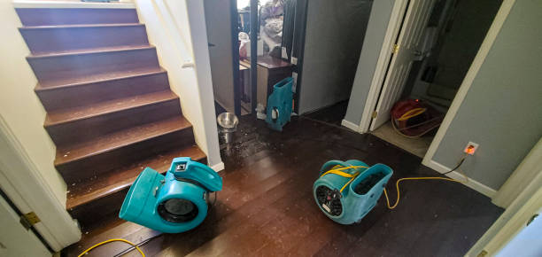 Best Flood restoration services  in Cobb Island, MD