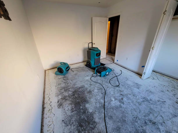 Best Professional water damage repair  in Cobb Island, MD