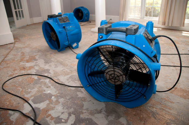 Best Sewage cleanup and water damage restoration  in Cobb Island, MD