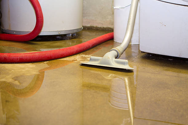 Reliable MD Water damage restoration Solutions
